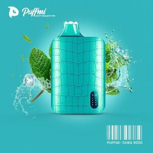 Puffmi 9000