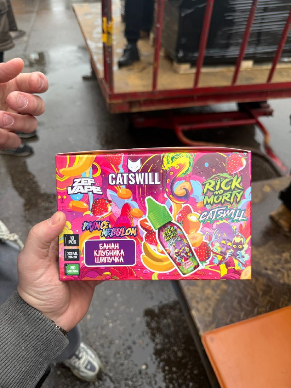 Catswill & Rick And Morty 5%
